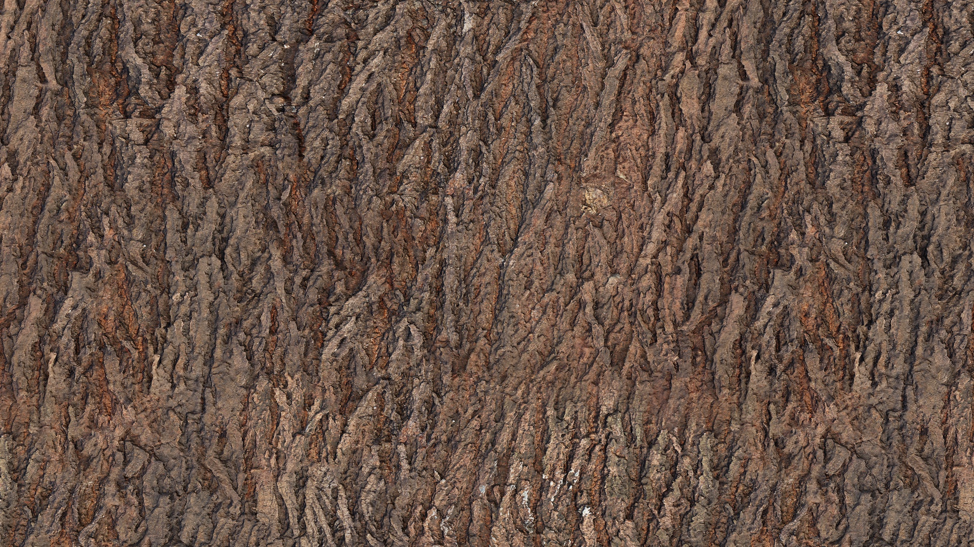 Rough Tree Bark - rough tree bark, rough texture preview image