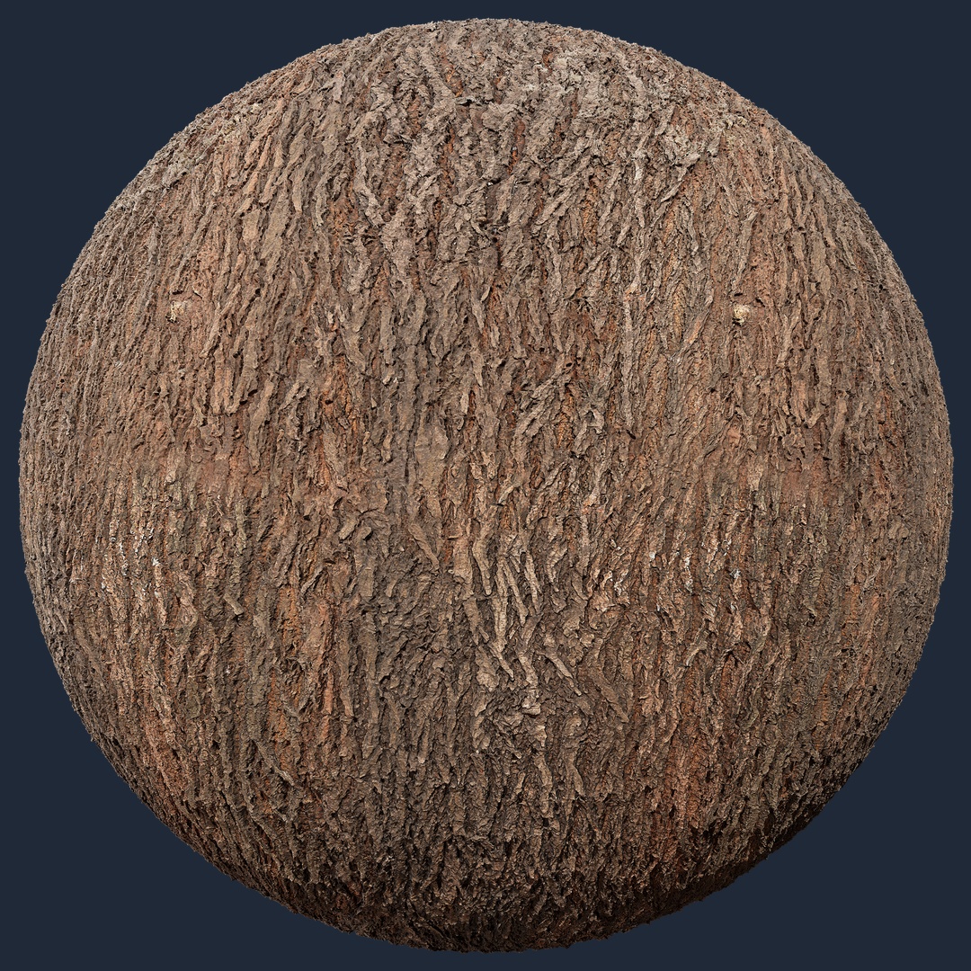 Rough Tree Bark - rough tree bark, rough texture