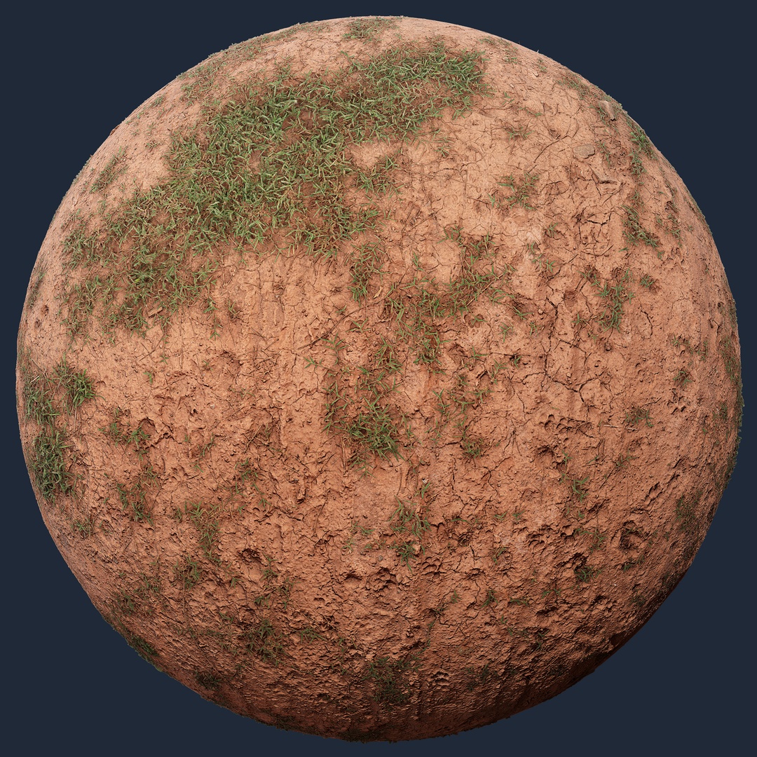 Forest Ground with Grass - forest ground with grass, forest texture
