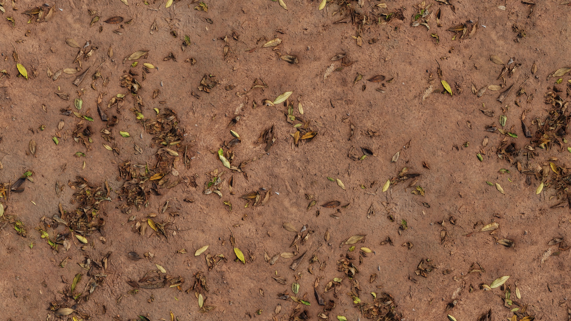 Leaves Forest Ground - leaves forest ground, leaves texture preview image