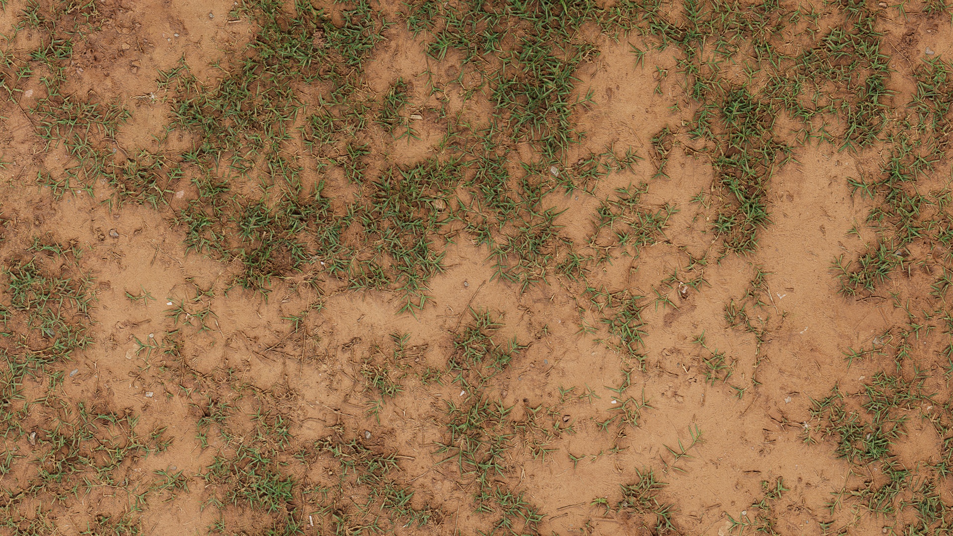 Sparse Grass on Dry Soil - sparse grass on dry soil, sparse texture preview image