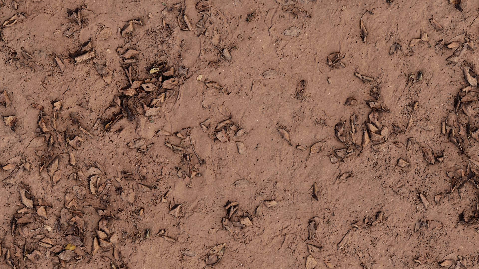 Scattered Dead Leaves Ground - scattered dead leaves ground, scattered texture preview image