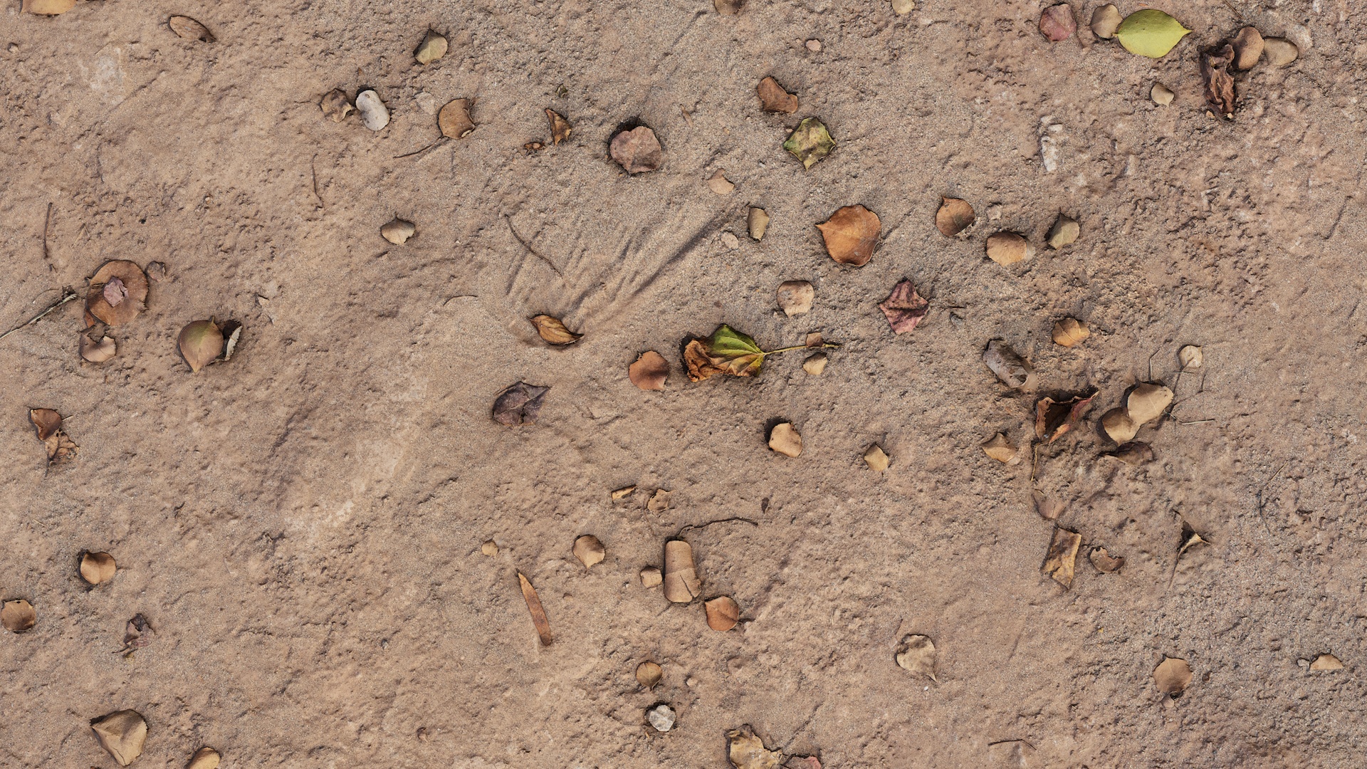 Dry Leafy Dirt Ground - dry leafy dirt ground, dry texture preview image
